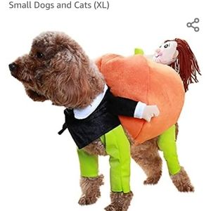 Cutest pet costume ever!